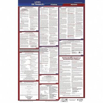 JJ KELLER Labor Law Poster Fed/STA IN SP 40Wx26inH, 36EP02