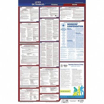 JJ KELLER Labor Law Poster Fed/STA ME SP 40Wx26inH, 36EP08