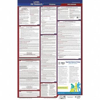 JJ KELLER Labor Law Poster Fed/STA OK SP 26inH 1yr, 36ER30