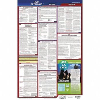 JJ KELLER Labor Law Poster Fed/STA OR SP 26inH 3yr, 36ET38