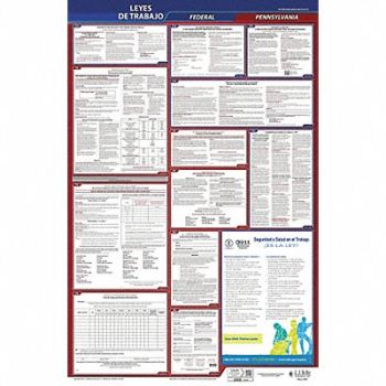 JJ KELLER Labor Law Poster Fed/STA PA SP 40Wx26inH, 36EP25