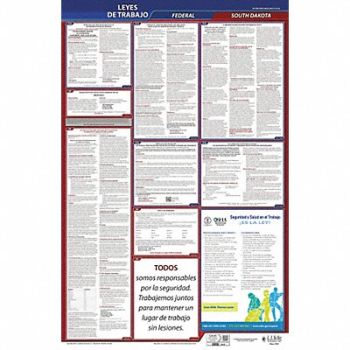 JJ KELLER Labor Law Poster Fed/STA SD SP 40Wx26inH, 36EP29