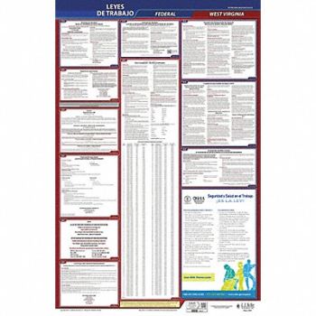 JJ KELLER Labor Law Poster Fed/STA WV SP 40Wx26inH, 36EP38