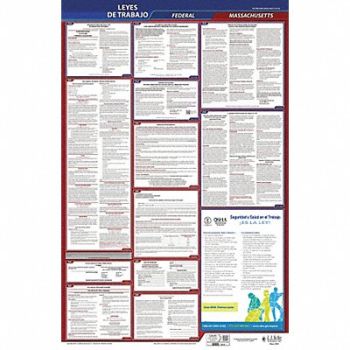 JJ KELLER Labor Law Poster Fed/STA MA SP 26inH 1yr, 36ER13