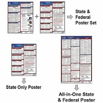 JJ KELLER LaborLaw Poster Fed/STA IA ENG 26inH 1yr, 36EP52
