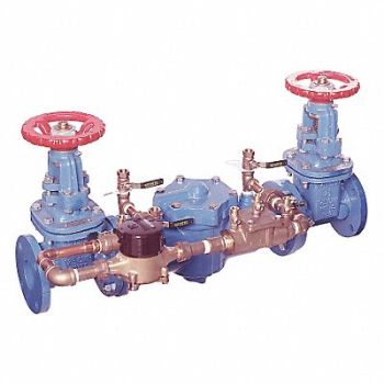 WATTS DoubleCheckDetector 007 2-1/2in 16-3/8, 36JC86