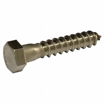 GRAINGER APPROVED Hex Lag Screw 1/4 18-8SS 2 L PK800, 36M015