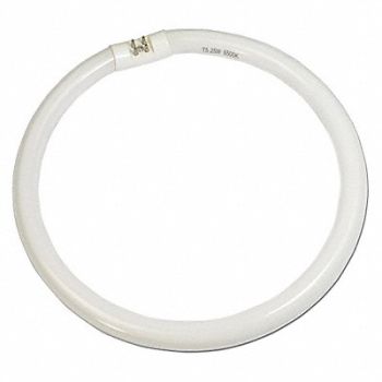 GRAINGER APPROVED Replacement Lamp, 36ND62