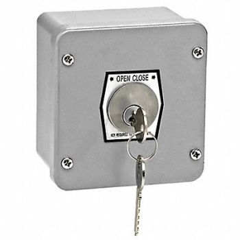 AMERICAN GARAGE DOOR SUPPLY Keyswitch Surface Mount NEMA Rating, 36T025