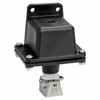 AMERICAN GARAGE DOOR SUPPLY Ceiling Pull Switch DPST With Cam, 36T032