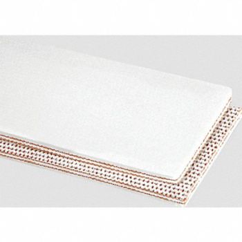 APACHE INC. Conveyor Belt 2Ply 100 Ntrle Wht 72InW, 36TG32