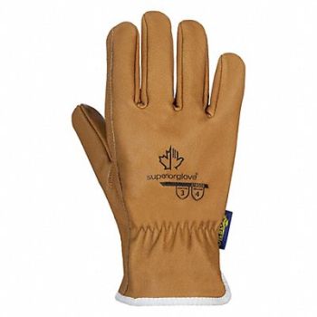 SUPERIOR GLOVE Leather Gloves Goatskin M PK12, 49R696