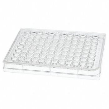 CELLTREAT Non-Treated Plate w/o Lid 96 Well PK100, 38C826