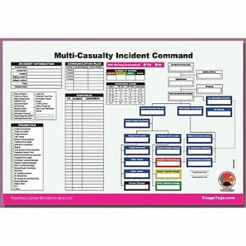 DISASTER MANAGEMENT SYSTEMS Multi-Casualty ICS Worksheet PK25, 38E609
