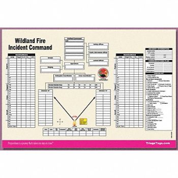 DISASTER MANAGEMENT SYSTEMS Wildland Fire ICS Worksheet PK25, 38E612