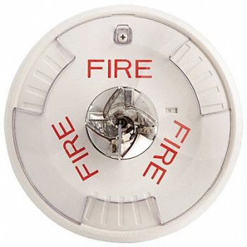 WHEELOCK Strobe 12/24VDC White 6-11/16 in H, 38GV27