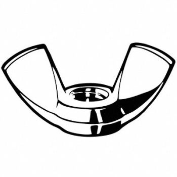GRAINGER APPROVED WngNt 18-8 SS 47.5x22.5mm M12-1.75 10PK, 54FV09