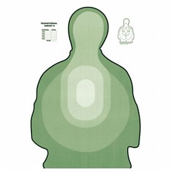 ACTION TARGET US Treasury Style Transtar II Green PK25, 38NE57