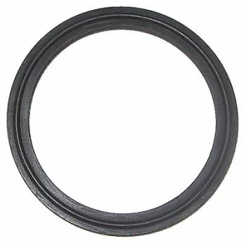 SANI-LOCK Thermocouple Gasket 4 In Viton, 38R127