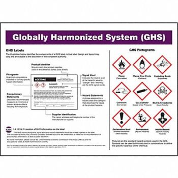 ACCUFORM GHS Poster 17 in x 22 in Plastic, 38W961