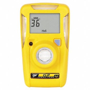 BW TECHNOLOGIES Single Gas Detectr H2S Yllw 3yr. Battery, 41HG95