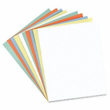 MAGNA VISUAL Data Cards Full Sheet White PK10, 38Y344