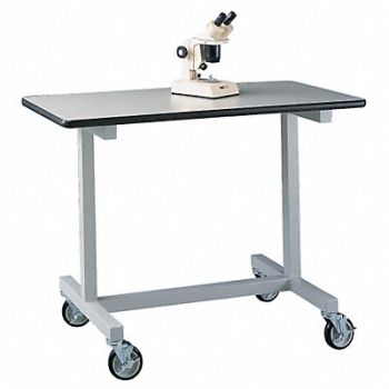 LABCONCO Mobile Bench 38x24x48, 39D540