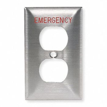 HUBBELL Dup Recept Wll Plt Stnd Silver 1Gng Brsh, 3D446