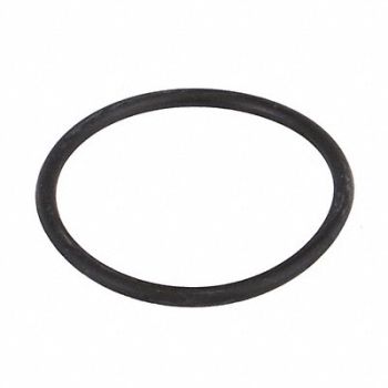 BANJO Gasket 3 1/4 Dia 1/4 EPDM, 3DTY6