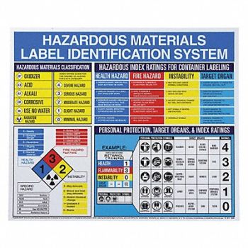 BRADY Right To Know Poster 22inx26in Plastic, 3DWA1
