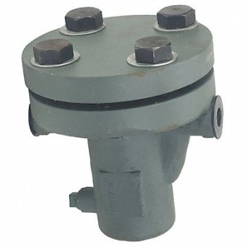 SSI Basket Strainer 12 1/2 H 1 100 deg.F, 3EJH9