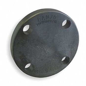 GRAINGER APPROVED Blind Flange 2 in 4 Bolt Holes Black, 3ELW4