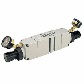 SPEEDAIRE Manifold Air Regulator 145 psi 120F, 3GAA9