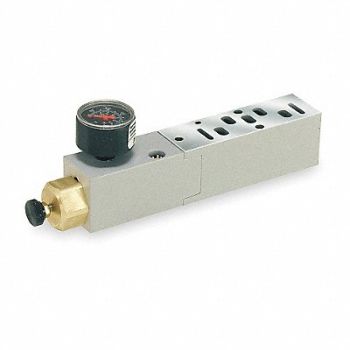 SPEEDAIRE Manifold Air Regulator 145 psi 120F, 3GAD1