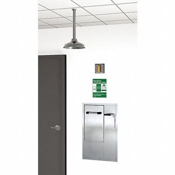 GUARDIAN EQUIPMENT Drench Shower With Face/Eyewash Silver, 3GUL6