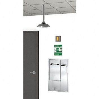 GUARDIAN EQUIPMENT Drench Shower With Face/Eyewash Silver, 3GUL7