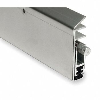 NATIONAL GUARD Automatic Door Bottom 1/4 x 36 In SS, 3HRJ7
