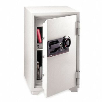 SENTRY SAFE Commercial Fire Safe 3 cu ft Light Gray, 3KB52