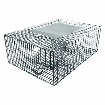 KNESS PEST DEFENSE Bird Trap 17-1/4 in L 12-1/4 in W, 3KJH7