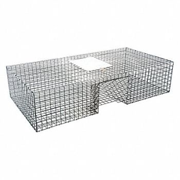 KNESS PEST DEFENSE Bird Trap 17-1/4 in L 12-1/4 in W, 3KJH9