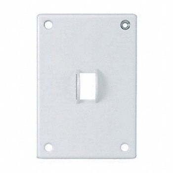 HUBBELL Tgl Swch Wll Plt Stnd Wht 1Gng PlyPwEnam, 3KT90