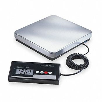 TAYLOR General Purpose Utility Bench Scale LCD, 3NZG3