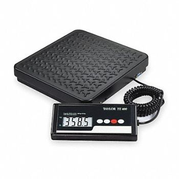 TAYLOR General Purpose Utility Bench Scale LCD, 3NZG4