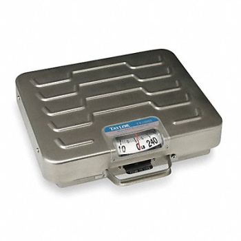 TAYLOR General Purpose Utility Bench Scale, 3NZG5