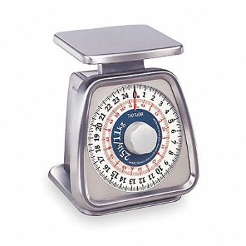 TAYLOR Dial Scale SS 32 oz Weight Cap. Silver, 3NZH3
