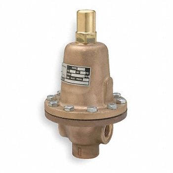 CASH VALVE Pressure Relief Valve 3/4 In 65 psiSS, 3RAE6