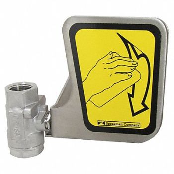 SPEAKMAN Eyewash Replacement Valve With Handle, 3RVL7