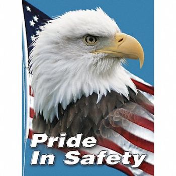 ACCUFORM Safety Poster 22 in x 17 in Plastic, 3TZE7