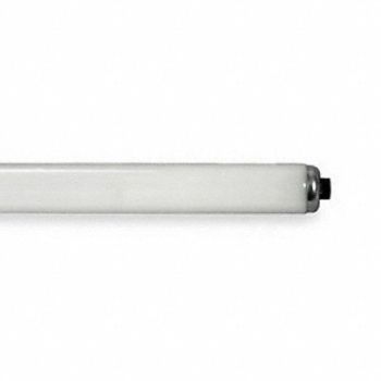CURRENT Linear FLUOR Bulb T12 57-3/4 L 6500K, 4V931