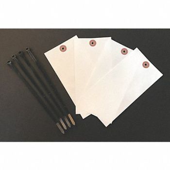 QUALITY RESOURCE GROUP Blank Shipping Tag Tyvek Colored PK100, 3VCG3